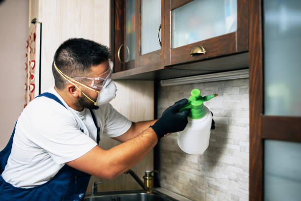 Best Rat Extermination Near Me  in Milford, IN