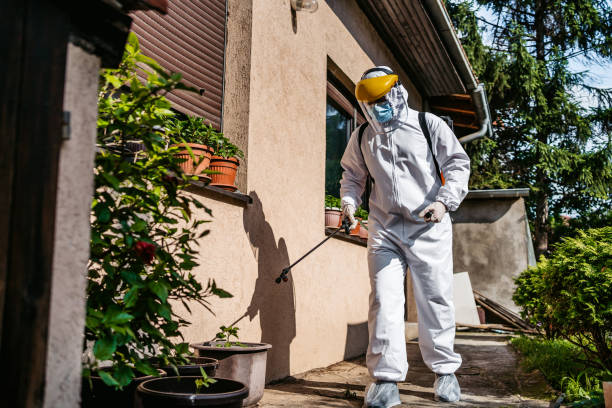 Best Flea Control Services  in Milford, IN