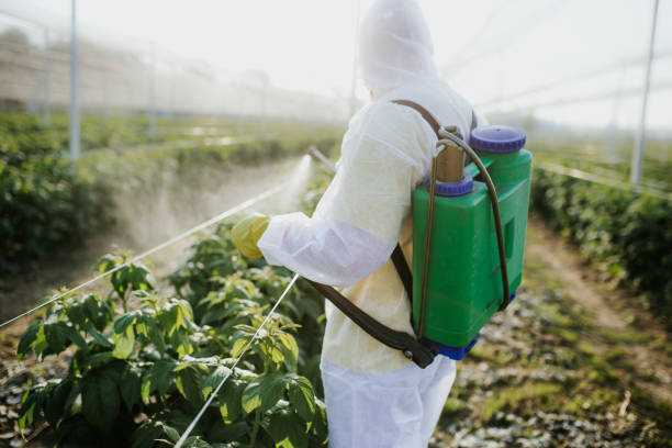 Best Wasp Removal Services  in Milford, IN